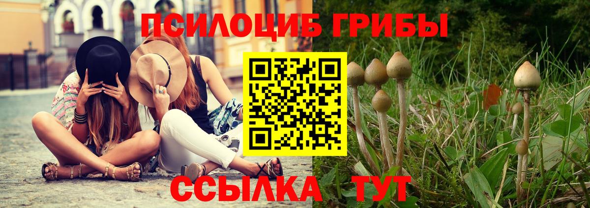 Галлюциногенные грибы MAGIC MUSHROOMS Узловая