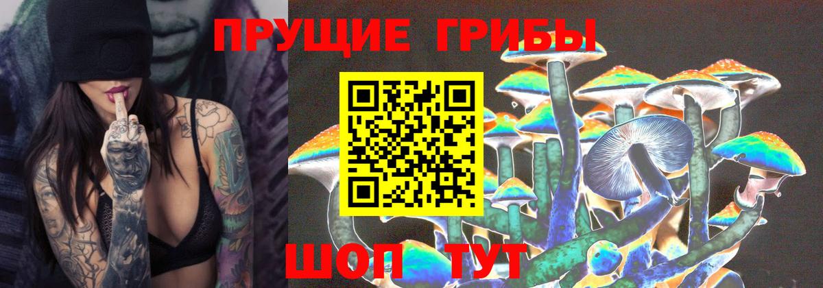Узловая  Псилоцибиновые грибы GOLDEN TEACHER  Вход с VPN 